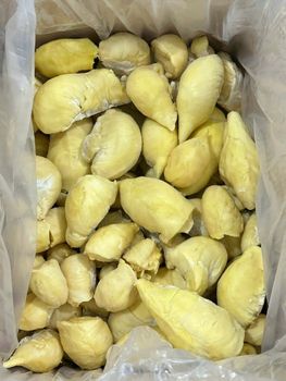 Frozen Durian Type whole, Puree Shelf Life 24 months Place of Origin Vietnam Packaging 1kgs,2kgs,20kgs in - Dovi Food Co., Ltd - Vietnam