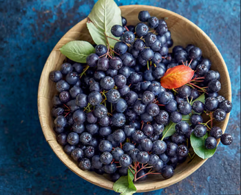 IQF Frozen Aronia Berries (Chokeberry) from KanturBerry IQF Frozen Aronia Berries (Chokeberry) - KanturBerry - Turkey