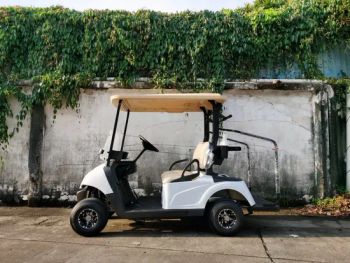 Electric Small Car Hot Sales Classic Buggy Sightseeing Car Color White Origin China Gradeability >30% Power 3.8kw/4.0kw Suitable for Park - Luckyram Technology Co., Ltd - China