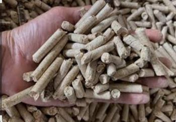 Rice Husk Pellets Grade Premium Material Rice Husk Packaging 100 Kg Per Bag, Bag Packaging Details 100 kg per bag Origin South Sumatra - Indonesia - PT ANAK MENOL IKAK - Indonesia
