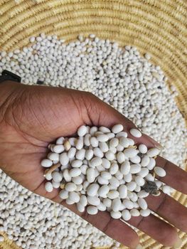 white kidney beans - home side trading plc - Ethiopia