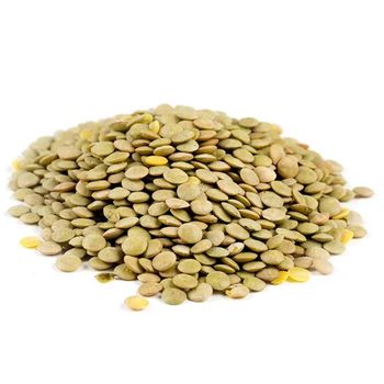 Green Lentils With 99% Purity Level For Bulk Commodity Purchasing Featuring Premium Cleaning And Sorting Process - TOSOH INTERNATIONAL - South Africa