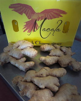 MACALA EVERYDAY GINGER PREMIUM GRADE GINGER WITH STRONG AROMA 12Kg from Sosa Merchant Solutions MACALA EVERYDAY GINGER PREMIUM GRADE GINGER WITH STRONG AROMA 12Kg – product photo, Ginger products found from trusted suppliers, wholesalers, manufacturers & exporters Listing