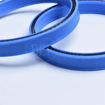 Customized PTFE+Glass Rod Spring Energized Seals Used in Marine - Guangdong DEF Seals Solutions Co., Ltd. - China