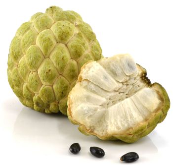 Fresh Custard Apple Vietnam High - quality and Best price for Export ready to export EU, ASIA Market - NGAN HOA PHAT TRADING SERVICE COMPANY LIMITED - Vietnam