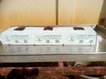 Coco Peat & Coir Pith Grow Bags 100x15x15 ,100x18x18 ,100x20x15 - AJ GROW HOUSE MANUFACTURING - India