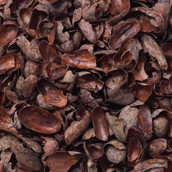 Cocoa shells - Blessed - Nigeria