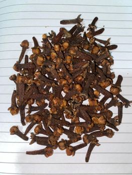 Premium Indonesia Zanzibar Cloves from PT Daya Alam Global Premium Indonesia Zanzibar Cloves - PT Daya Alam Global - Indonesia