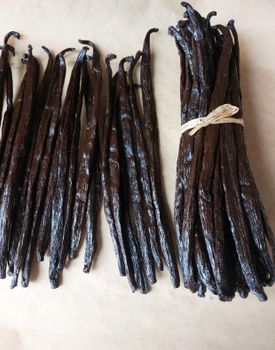 Madagascar Vanilla Beans,vanilla Beans Kg,vanilla Beans Madagascar for Sale -  DAEWKAEW PANTAMANG Co., Ltd - Thailand