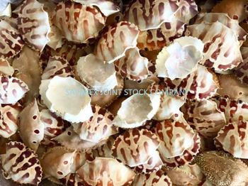 Dried Crab Shell - Safimex Joint Stock Company - Vietnam