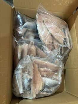 Frozen and fresh Horse mackerel fish. Frozen & Fresh Horse Mackerel Fish – Whole Round | Trachurus Species | Export Quality - AMAC GOLD AND DIAMOND METALS SUPPLIER - Germany