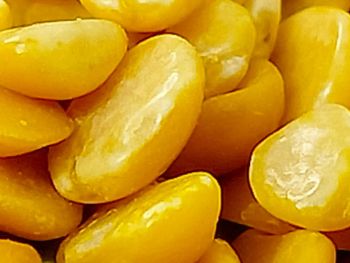 Pigeon Peas (Arhar dal) - Kitch Pulses and Spices - India