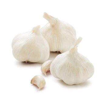 Cheap price white Fresh Garlic with uniform size and premium quality - CHHC AGR0-CHEMICAL PRODUCTS WHOLESALING - Philippines