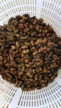 frozen oyster,dried oyster - 福建省岱嵩岛水产养殖有限公司 - China