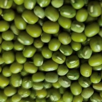 Green Mung Bean Size 3.5 Style Fresh Weight (kg) 25 Type Green Beans Brand Name Custom Address Bangladesh Shelf Life 2 - BEST TRADE CORPORATION - Bangladesh
