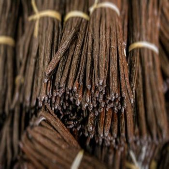 Dried Vanilla Beans Extra Grade Premium Pods 16.5cm Long Natural Flavor Best Quality 10kg Origin for Cooking from EAST LAND PROPERTIES Dried Vanilla Beans Extra Grade Premium Pods 16.5cm Long Natural Flavor Best Quality 10kg Origin for Cooking - EAST LAND PROPERTIES - Tanzania