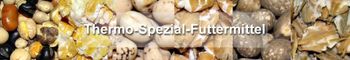 Product – product photo, Organic Wheat products found from trusted suppliers, wholesalers, manufacturers & exporters Listing