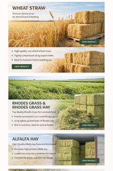 Rhode Grass and Wheat Straw Origin Pakistan Usage Livestock Feed Shelf Life 12 Months Moisture Content Max 12–14% Protein Content Approx. 8–12% - kasimpex - Pakistan