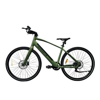 Saige 2 Wheel Electric Bicycle Bike 36V Electric Lithium Battery Bike - Wuxi Xushi Thunder International Trade Co., Ltd. - China