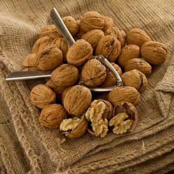 Fresh Natural Walnuts Premium Bulk Supply Snack Wholesale Ideal for Retail Baking Cooking and Gift Packs - PILOTEXPORT IMPORT AND EXPORT LTD - South Africa