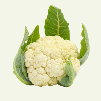 Cauliflower Flavor Mild Color White Texture Crisp, Tender Head Structure Tight, Compact Harvesting Method Carefully Harvested At The Perfect - Great Farmer Company Limited - Vietnam