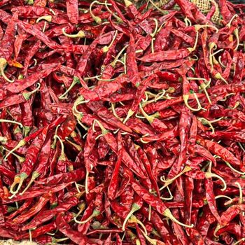 Dry Red Chilli - Al-Hyatt International - India