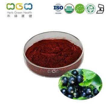 Wholesale Spray Dried Organic Black Currant Juice Powder Factory Supply Best Price Black Currant Drink Powder - Herb Green Health Biotech Co., Ltd. - China