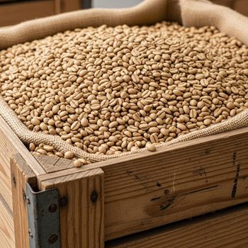 100% Natural Arabica Coffee Bean Sourced From Trusted Farms For Bulk Distribution Coffee Bean Trade - AGRO AFRIQUE COMPANY LIMITED - Tanzania