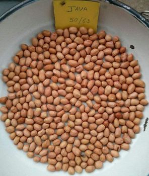 Carefully Sorted Dried Peanut Kernels From Tanzanian Groundnuts With Vacuum Packing For International Wholesale - malter group - Tanzania