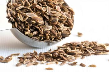 Dill Seeds - Evergain - Egypt