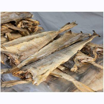 Best Selling Premium Dried Squid Available Fresh Ocean Taste Perfect for Retail and Wholesales - Banyen Inter Corp - Thailand