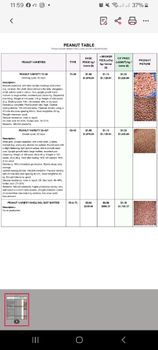 Groundnuts for oil production - Qayyum - Senegal