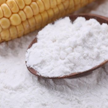 Food Processing Corn Starch Powder For Large Scale Production Corn Starch With Excellent Moisture Control - malter group - Tanzania
