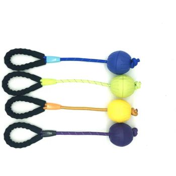 Captivating Squeaky Colorful Pet Toys for Small Dogs MOQ 1440PCS Trademark JW Model NO. JWWJ008 Input Carton 144PCS Unit Weight (G) - Ruian Jiawang Pet Products Co., Ltd. - China