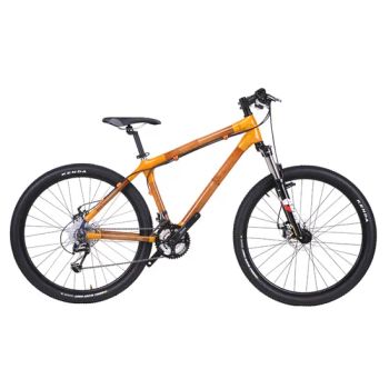 Bamboo Mountain Bicycle MTB Bicycle 29er Wheel - HUIZHOU NATUREFLY TECH CO., LTD - China