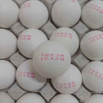 chicken eggs Type medium Packaging - Agrobee Global Trading India PVT LTD - India