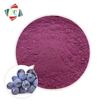 Wuhan Hhd Pure Natural Extract Blueberry Powder Blue Berry Powder Juice Powder - Wuhan Hengheda Pharm Co., Ltd. - China