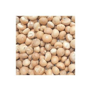 Top Supplier Hot Selling Good Quality Factory Price Wholesale Dried Fresh Betel Nut With Export Standard - GOLDEN STAR BV - South Africa