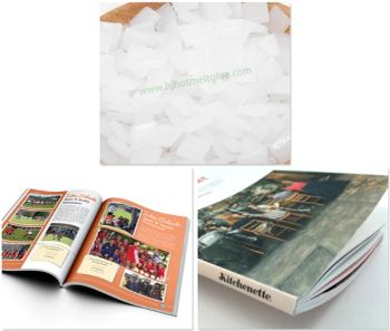 Transparent White Bookbinding Hot Melt Adhesive for Magazine Books - Deqing County Haojing Environmental Protection Technology Co., LTD - China