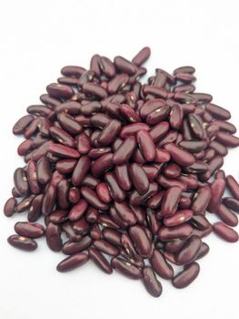 Light Red Kidney Beans Purity 98.5% Origin Tanzania Harvest Season 2025 Moisture Content 14% Max. Moisture (%) 14% Color Dark Red, Light Red - Africa Agriculture Exporters (AAE) - Tanzania