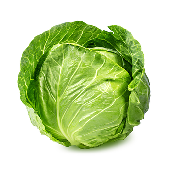 Fresh Cabbage from Njang Investments Limited Fresh Cabbage - Njang Investments Limited - Kenya