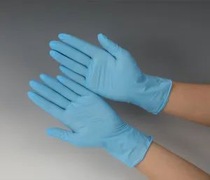 Disposable Nitrile Gloves for Food Processing Powder Free Nitrile Gloves - A.H.A INTERNATIONAL CO., LTD. - China
