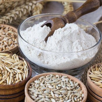 Clean Processed Wheat Flour Packed For Export Orders Premium Wheat Flour For Bulk Wholesale Buyers from AGRO AFRIQUE COMPANY LIMITED Clean Processed Wheat Flour Packed For Export Orders Premium Wheat Flour For Bulk Wholesale Buyers - AGRO AFRIQUE COMPANY LIMITED - Tanzania