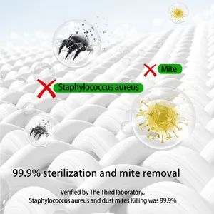 2025 High-Efficiency Long-Lasting Fragrance Eco-Friendly Plant Extraction Powerful Cleaning Laundry Detergent - Guangdong Garcia Daily Necessities Technology Co., Ltd. - China
