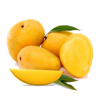 fresh mango - ISHRA INTERNATIONAL - India
