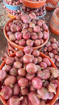 Indian Onion Size 55MM++ 20kg Red Mesh Bag Total US$ 16820 CIF SOHAR - AL SHAIKH TRADING CO - India