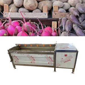 Bf Fruit Vegetable Brush Washing Equipment Cassava Cleaning Ginger Washer - Zhengzhou Benfu Industrial Co., Ltd. - China