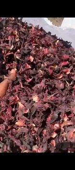 Hibiscus – product photo, Hibiscus products found from trusted suppliers, wholesalers, manufacturers & exporters Listing