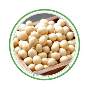 50kg Bag Sprouting and Food Grade Dry Yellow Soybean Seed Non Gmo Soybeans from CALIPSO POLSKA SP Z OO 50kg Bag Sprouting and Food Grade Dry Yellow Soybean Seed Non Gmo Soybeans - CALIPSO POLSKA SP Z OO - Poland