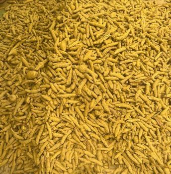 Turmeric whole from ITC LIMITED ABD Turmeric whole - ITC LIMITED ABD - India